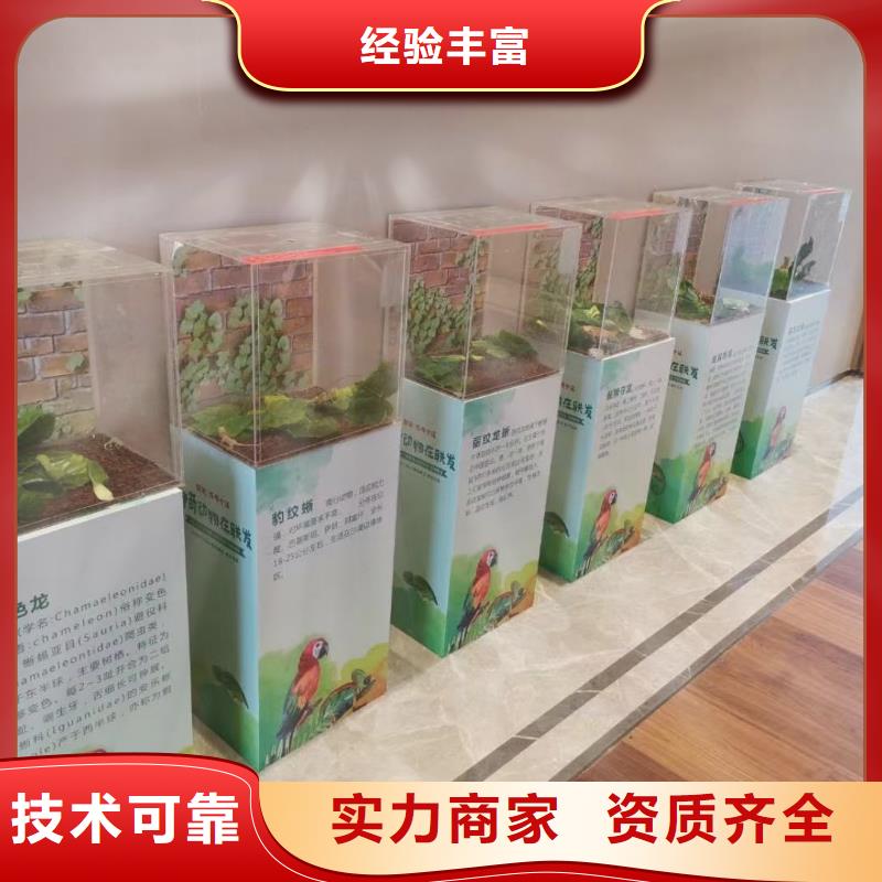 馬戲團(tuán)/羊駝_【美人魚出租演出】收費(fèi)合理