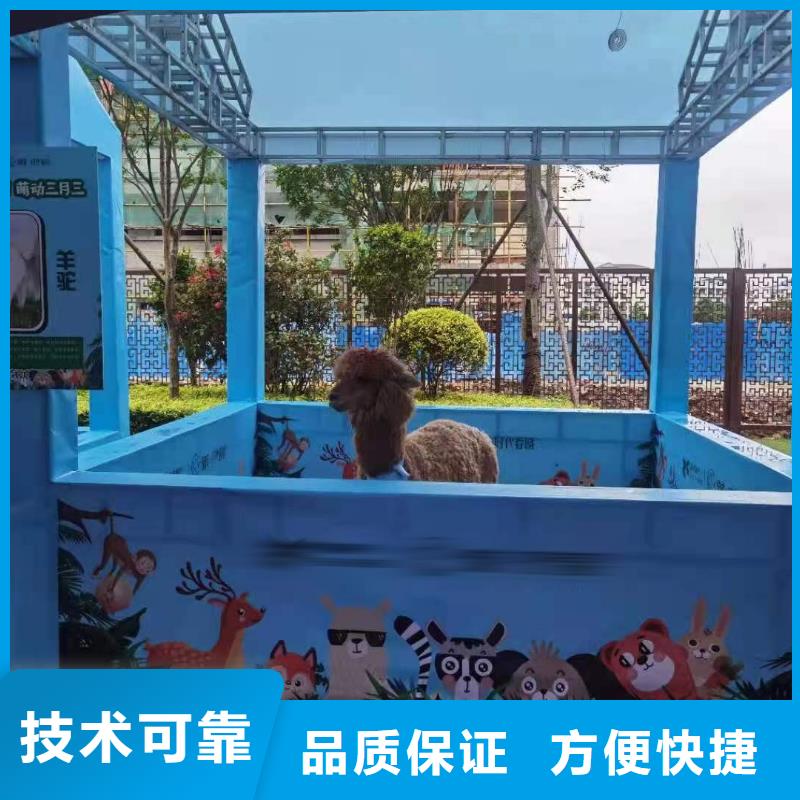 马戏团/羊驼-马戏团表演多年经验