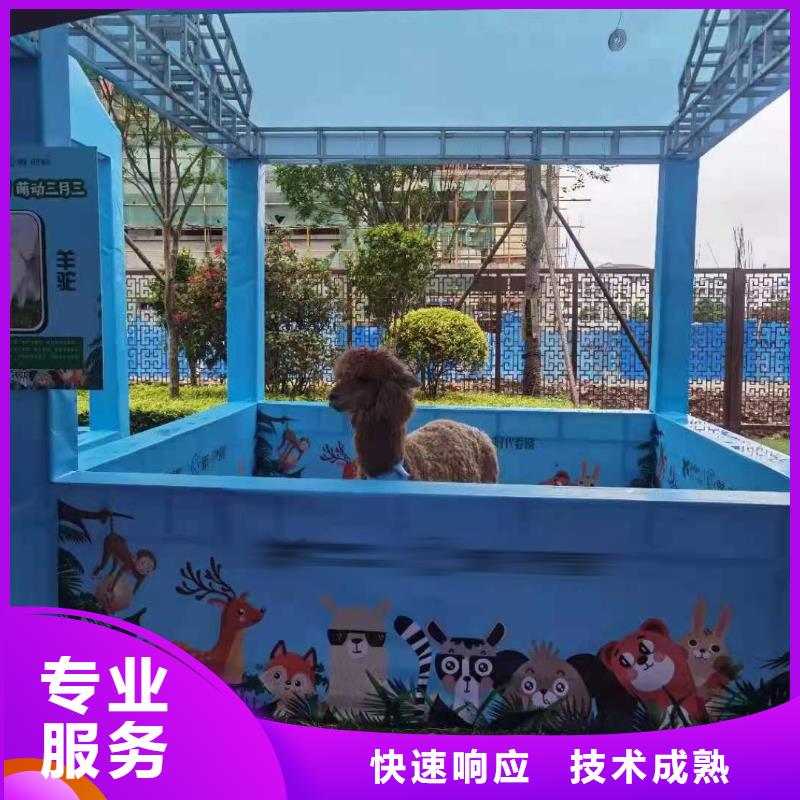 馬戲團(tuán)/羊駝_馬戲團(tuán)表演出租租賃售后保障