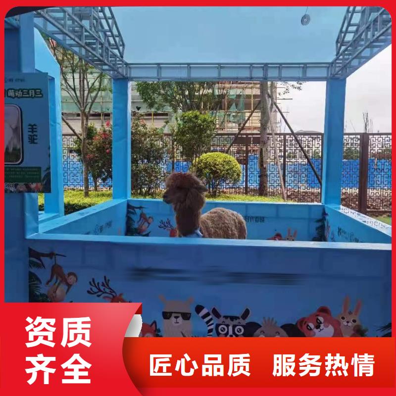 马戏团/羊驼表演羊驼租赁品质服务