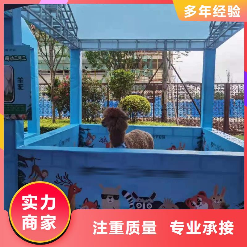 【馬戲團(tuán)/羊駝景區(qū)雜技表演2025公司】