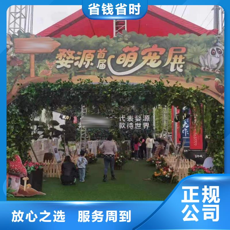 馬戲團/羊駝-死輪表演知名公司