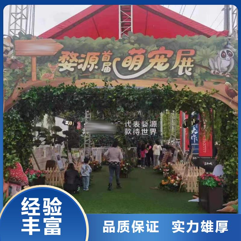 馬戲團(tuán)/羊駝,小馬戲出租質(zhì)優(yōu)價(jià)廉