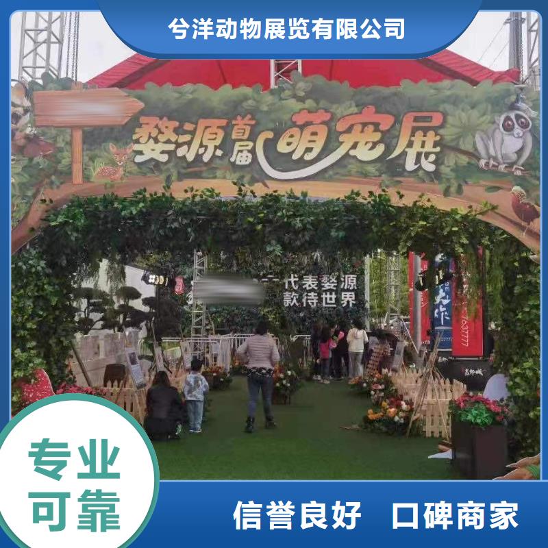 马戏团/羊驼_马戏团表演出租租赁售后保障