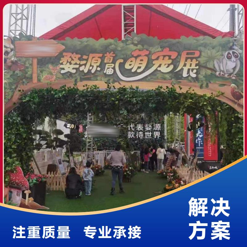 馬戲團/羊駝【動物表演】從業(yè)經(jīng)驗豐富
