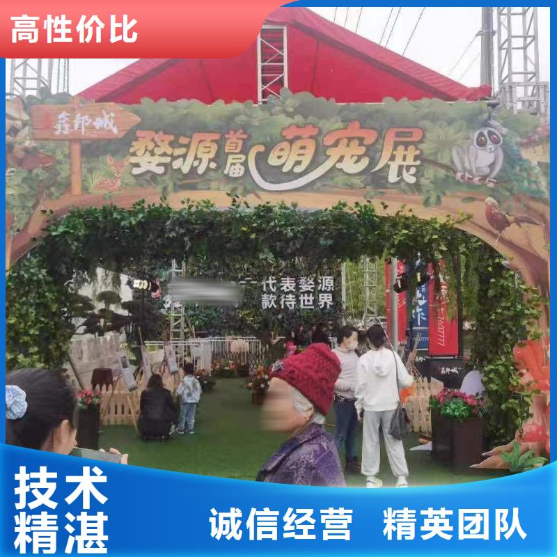 馬戲團(tuán)/羊駝 美人魚(yú)表演值得信賴