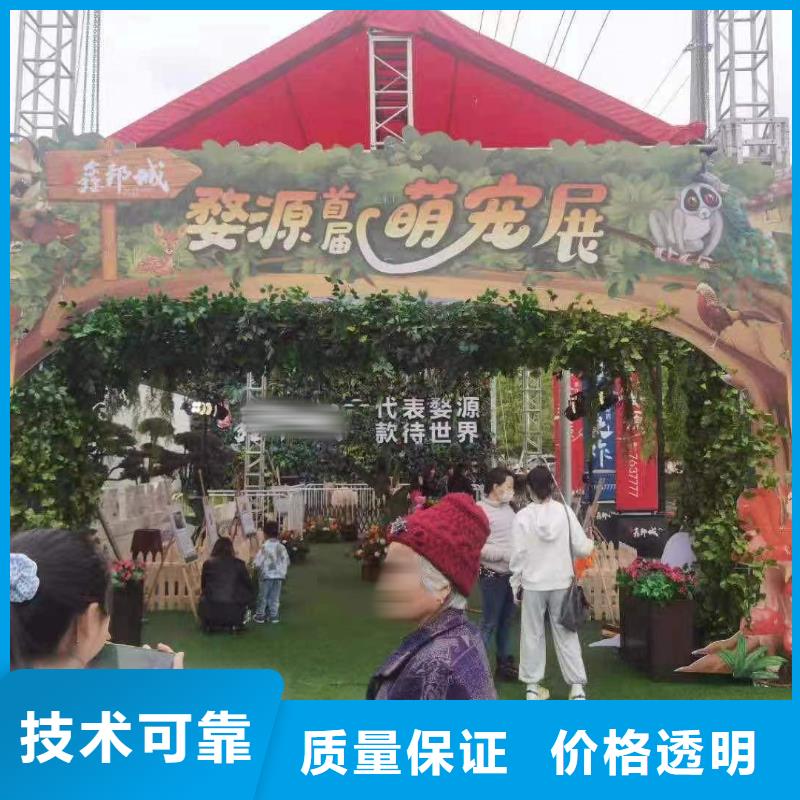 馬戲團(tuán)/羊駝馬戲團(tuán)表演出租租賃技術(shù)好