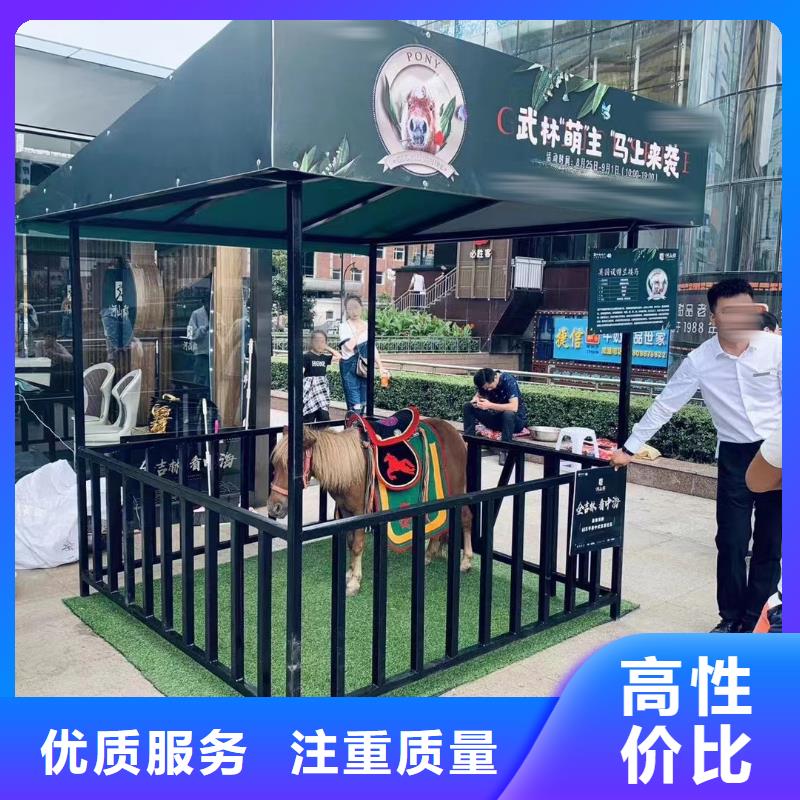 马戏团/羊驼羊驼出租解决方案