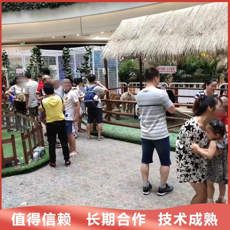 【馬戲團(tuán)/羊駝】海洋展租賃免費(fèi)咨詢