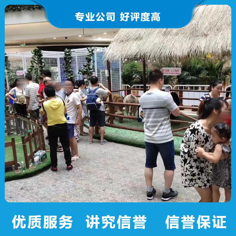 马戏团/羊驼小香猪宠物出租实力团队