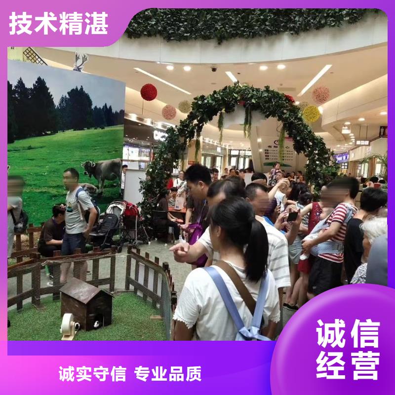 馬戲團(tuán)/羊駝,美人魚表演出租專業(yè)品質(zhì)
