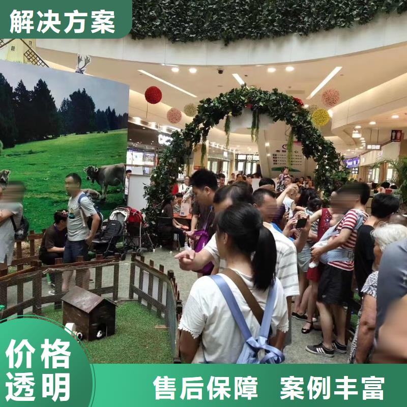 马戏团/羊驼表演羊驼租赁品质服务