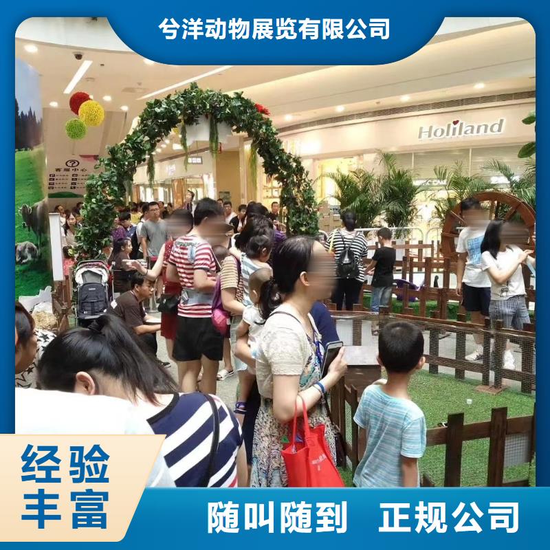 马戏团/羊驼,美人鱼表演出租专业品质