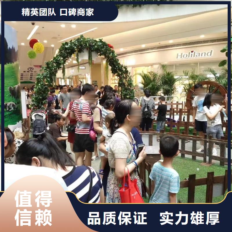 【馬戲團/羊駝美人魚表演出租有實力】