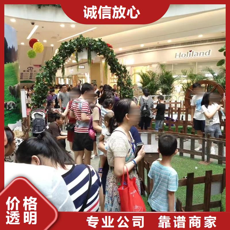 马戏团/羊驼海狮表演出租技术比较好