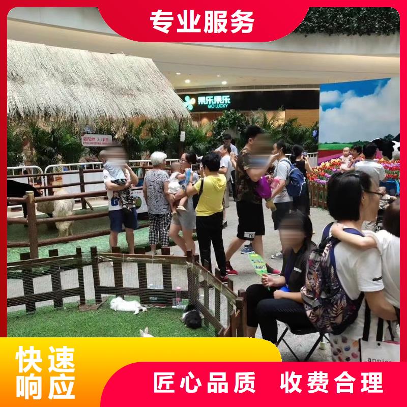 馬戲團(tuán)/羊駝-【活體羊駝租賃】知名公司