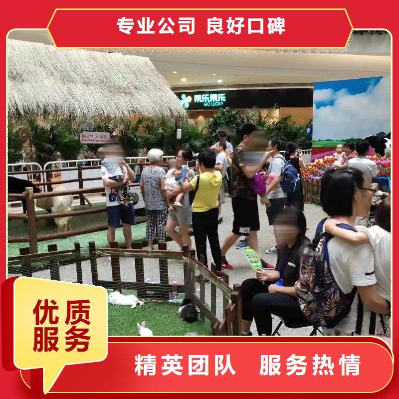 馬戲團/羊駝企鵝租賃長期合作