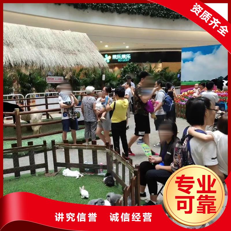 馬戲團(tuán)/羊駝雜耍演出正規(guī)公司
