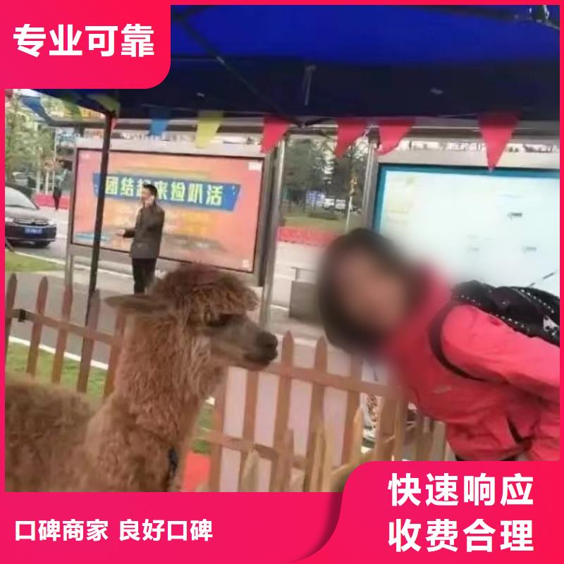 馬戲團(tuán)/羊駝,【出租馬戲表演】省錢省時(shí)