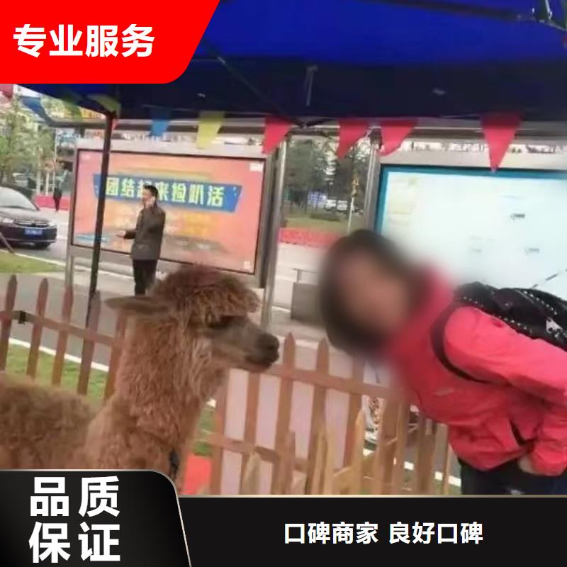 馬戲團/羊駝馬戲團表演出租租賃品質(zhì)卓越