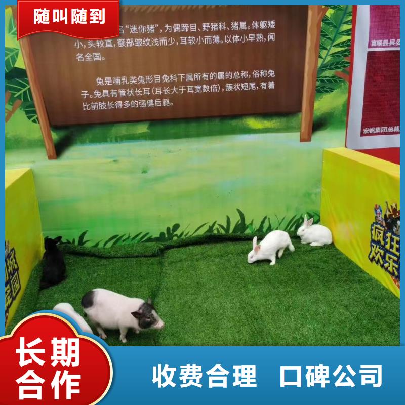 马戏团/羊驼 美人鱼表演专业公司