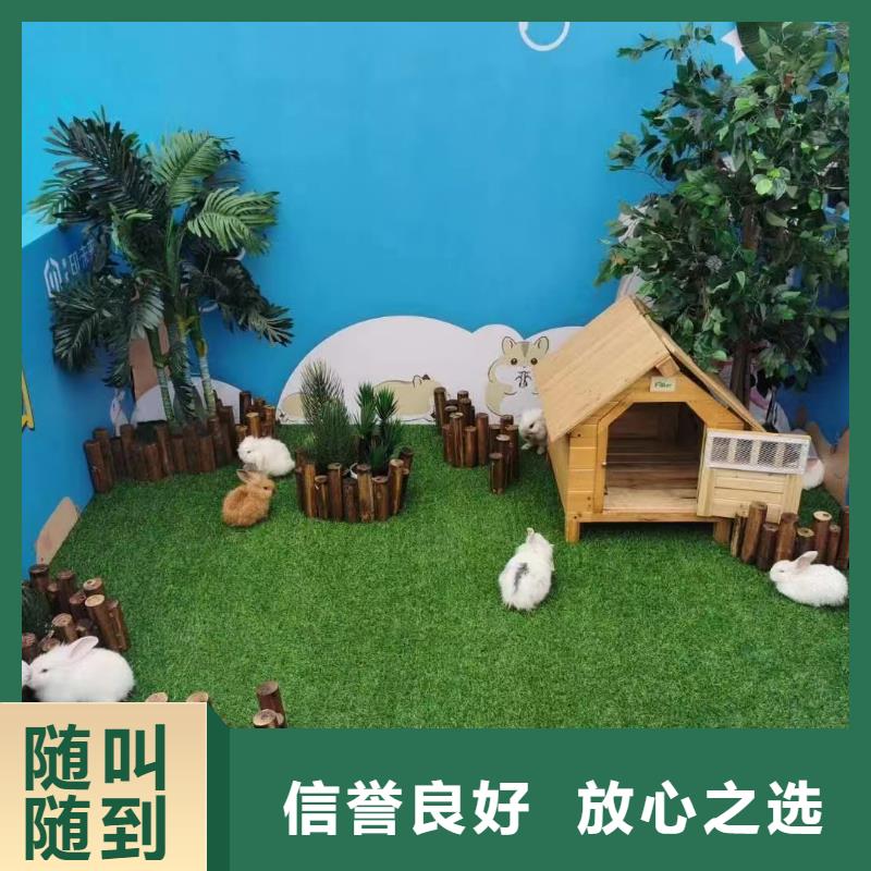 馬戲團(tuán)/羊駝動(dòng)物展覽秀技術(shù)成熟