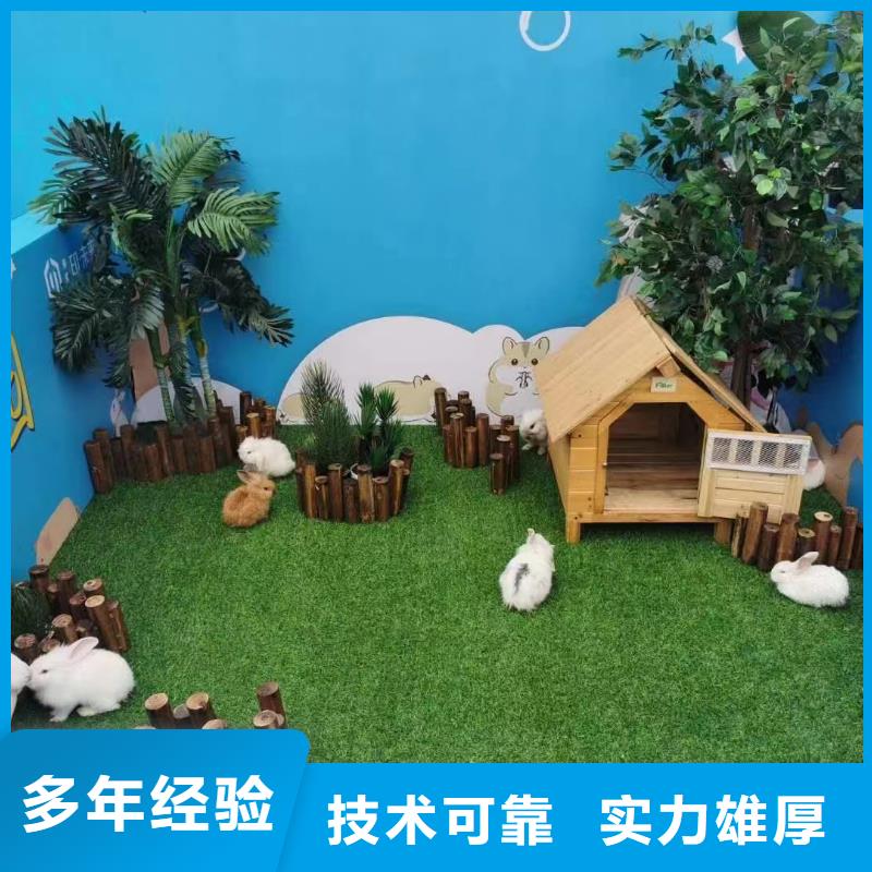馬戲團(tuán)/羊駝,美人魚表演出租專業(yè)品質(zhì)
