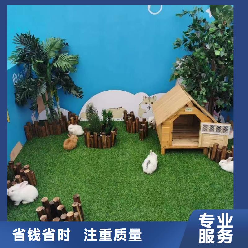 马戏团/羊驼企鹅出租齐全