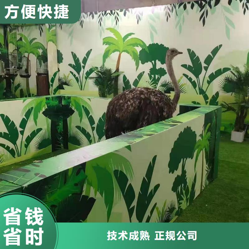 馬戲團(tuán)/羊駝水族海洋展品質(zhì)優(yōu)