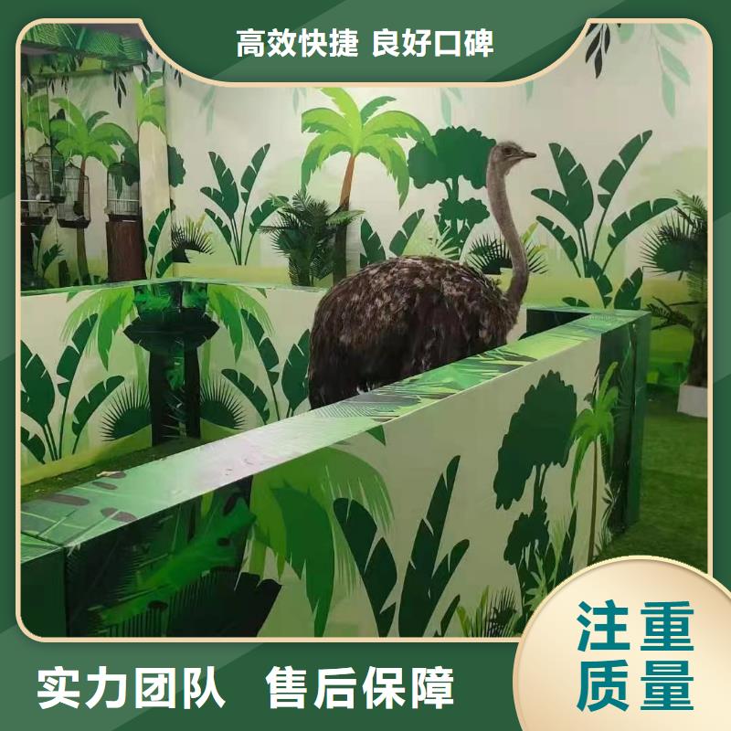 马戏团/羊驼,商场马戏表演出租专业