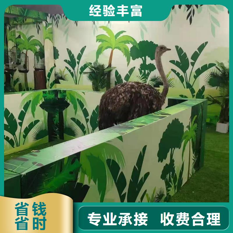 马戏团/羊驼萌宠动物展出租效果满意为止