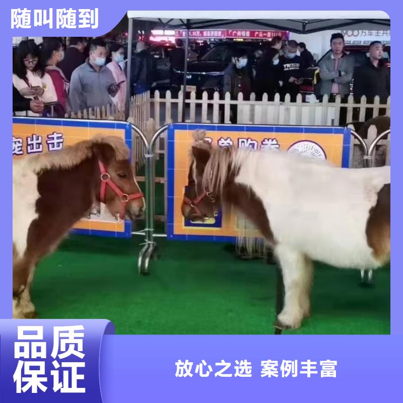 马戏团/羊驼,美人鱼表演出租专业品质