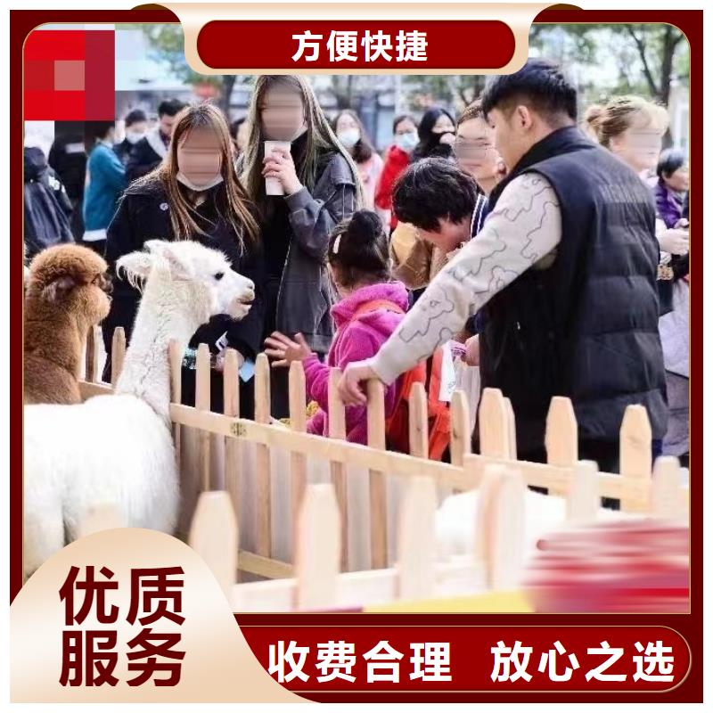 馬戲團(tuán)/羊駝水族海洋展品質(zhì)優(yōu)
