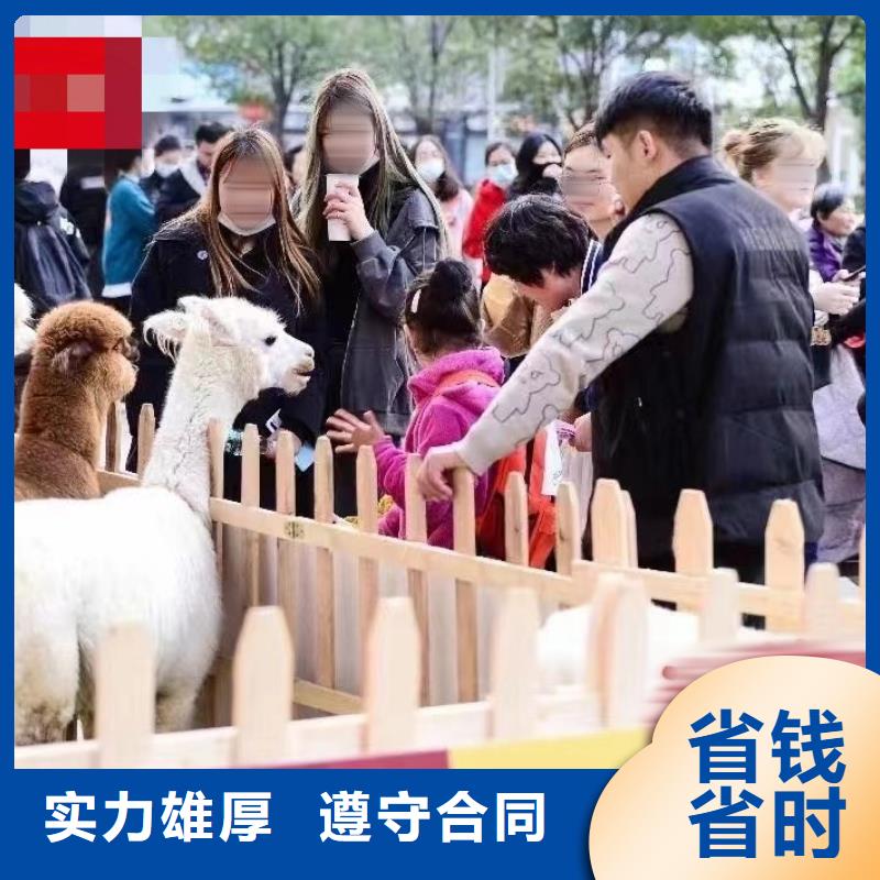 馬戲團/羊駝 出租表演鸚鵡誠信放心