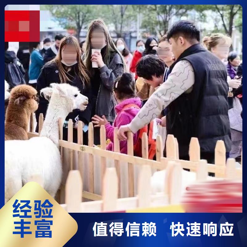 马戏团/羊驼海狮表演出租技术比较好