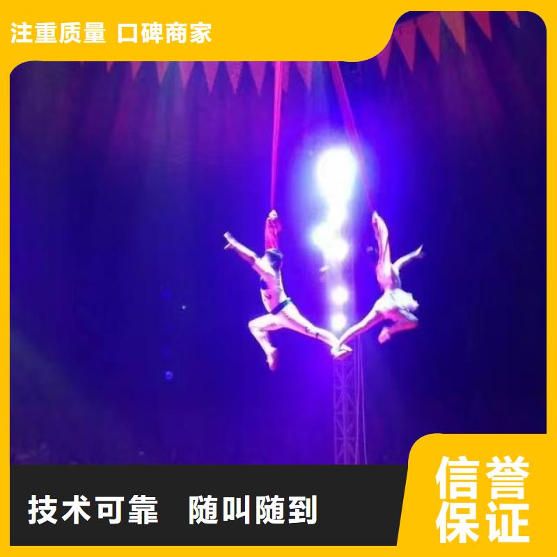 馬戲團(tuán)/羊駝草泥馬羊駝租賃遵守合同