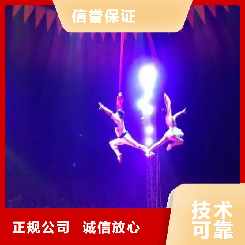 馬戲團(tuán)/羊駝_小馬戲表演出租經(jīng)驗(yàn)豐富