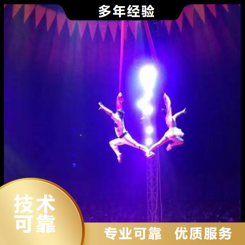 馬戲團(tuán)/羊駝,雜耍演出一站搞定