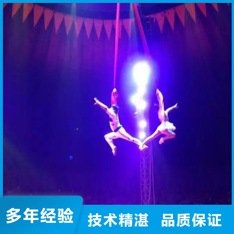 【馬戲團/羊駝【出租企鵝表演】行業(yè)口碑好】