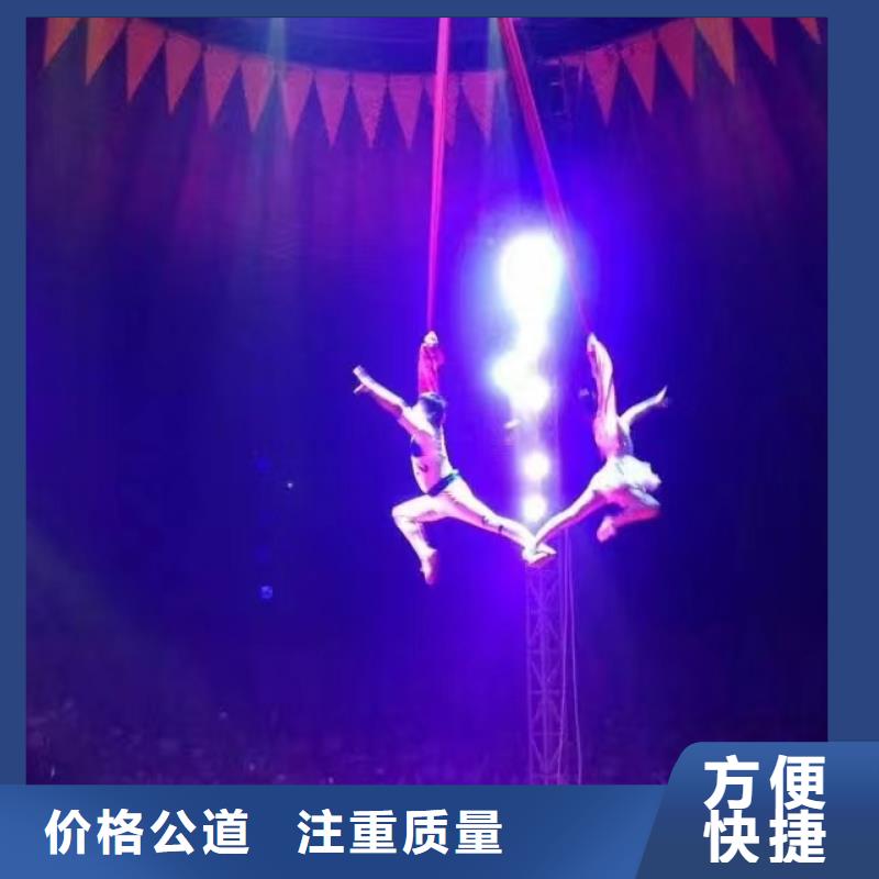 馬戲團(tuán)/羊駝-海獅表演租賃從業(yè)經(jīng)驗(yàn)豐富