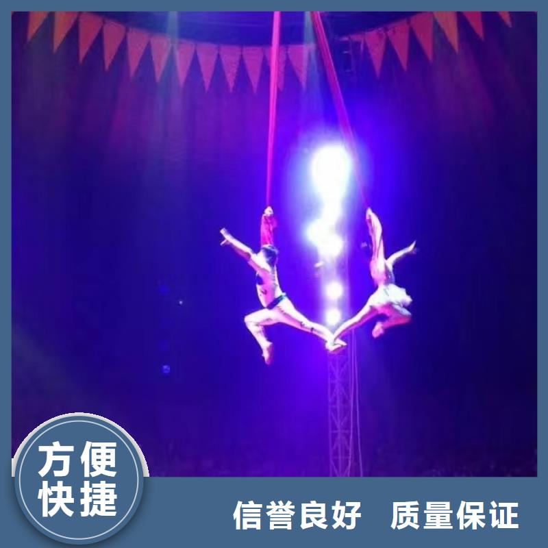 马戏团/羊驼_马戏团表演值得信赖