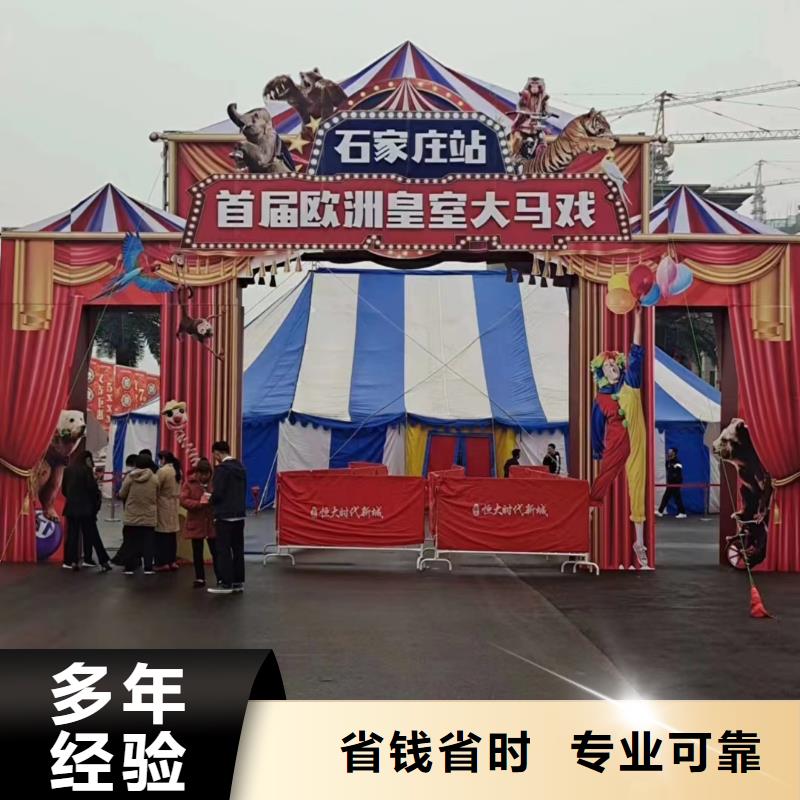 马戏团/羊驼动物表演出租技术成熟