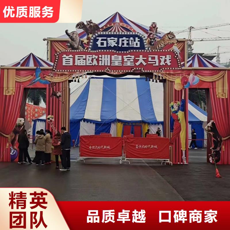 马戏团/羊驼企鹅出租表演正规