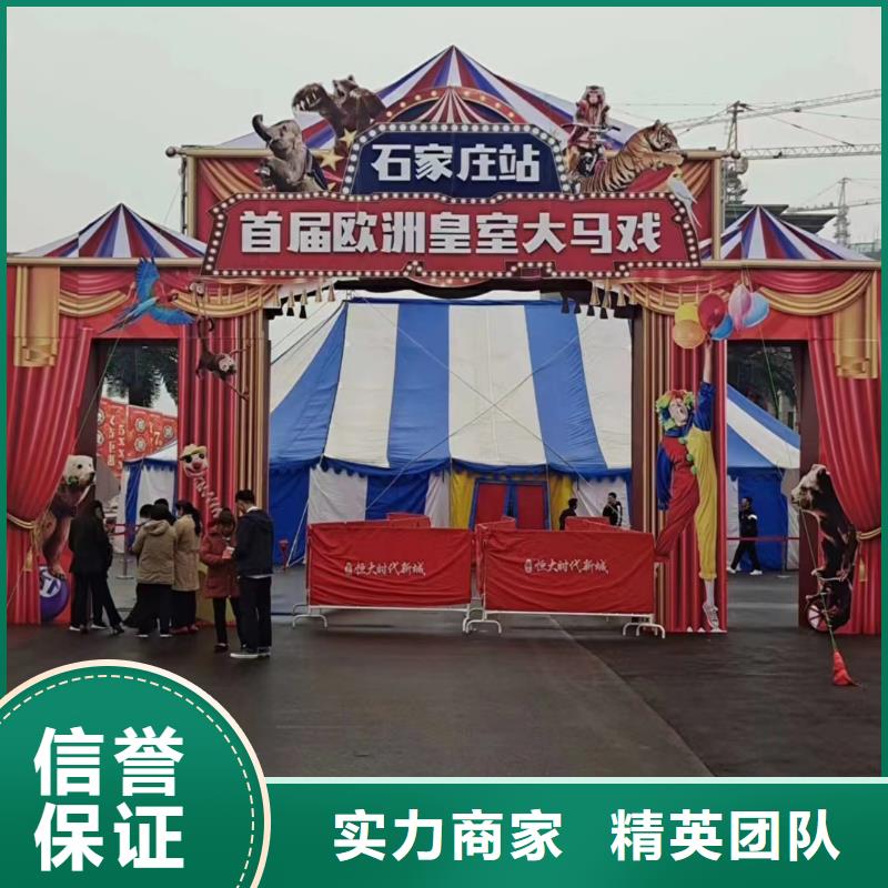 馬戲團(tuán)/羊駝海洋展租賃質(zhì)量保證