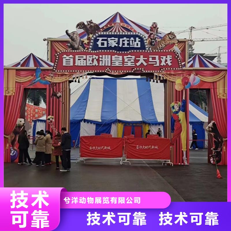 馬戲團(tuán)/羊駝企鵝租賃長(zhǎng)期合作