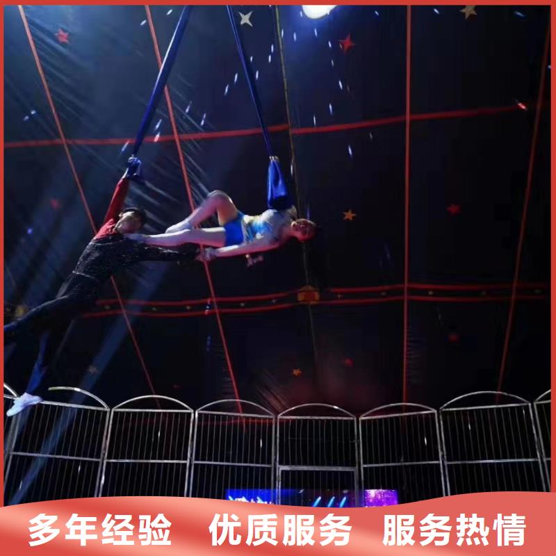 雜技表演出租
