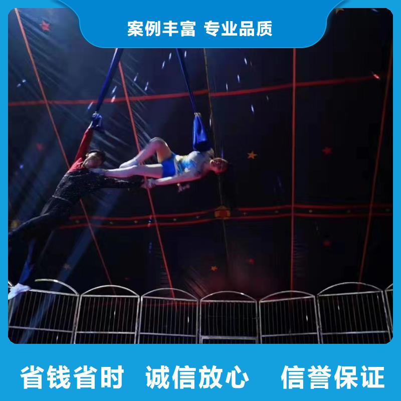 【馬戲團(tuán)/羊駝】,鸚鵡表演比同行便宜