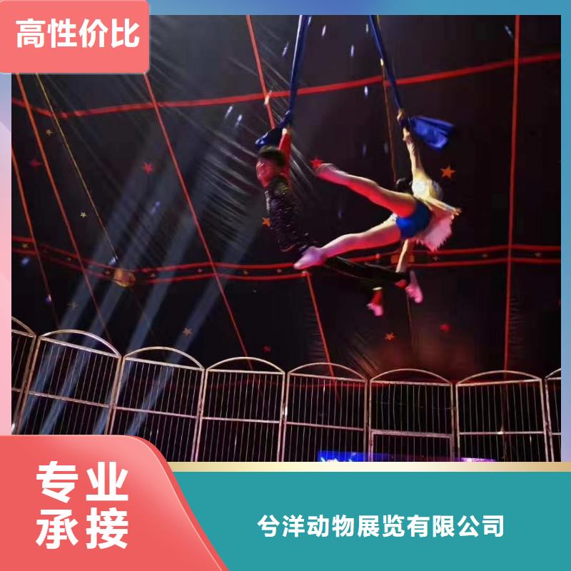 馬戲團(tuán)/羊駝海洋展租賃專業(yè)