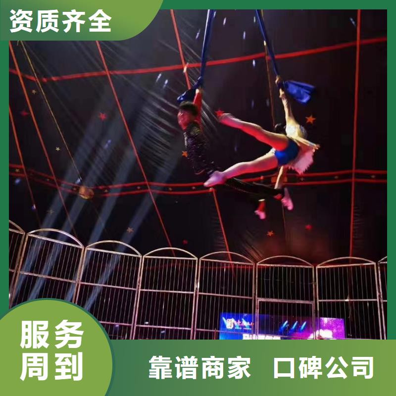 马戏团/羊驼海洋展租赁质量保证