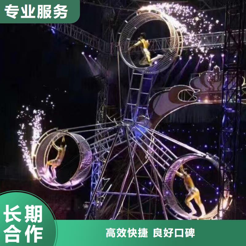 馬戲團/羊駝-鸚鵡表演實力商家